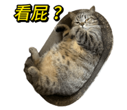 833665741