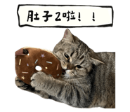 833665742