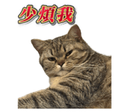 833665747