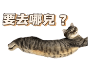 833665751