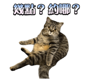 833665752