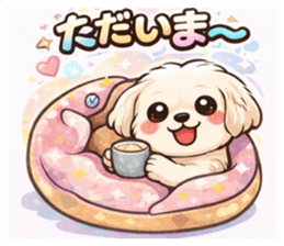833671164