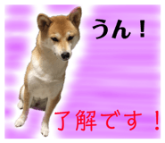 833671761