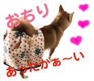 833671765