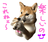833671767