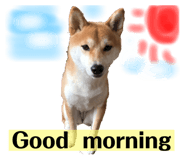833671772