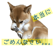 833671781