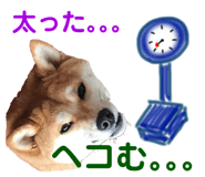 833671782