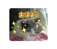 833673028