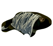 833675018