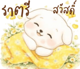 น้องหมาสีขาวน่ารัก (แชทได้ทุกวัน) รูปที่ 10