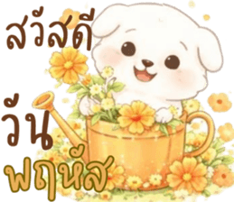 น้องหมาสีขาวน่ารัก (แชทได้ทุกวัน) รูปที่ 24