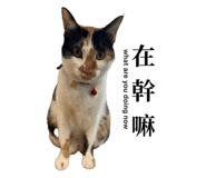 833676832