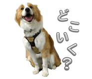 833677377