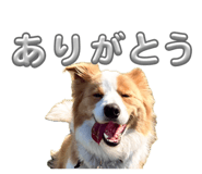 833677380