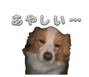 833677391