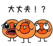 833680079