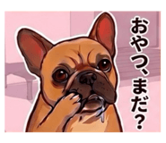 833683636