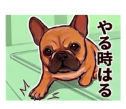 833683643