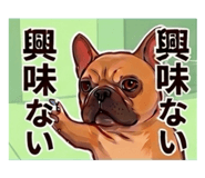 833683646
