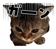 833687382