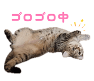 833687389