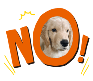 833697072