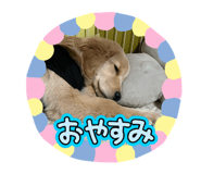 833697083
