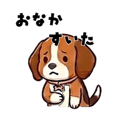 833702899