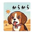 833702900