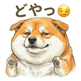 833703618