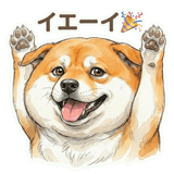 833703627