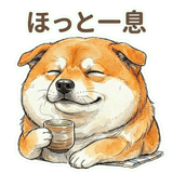 833703631