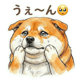 833703635
