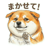 833703637