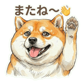 833703646