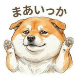 833703647