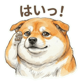 833703650