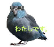 833713417