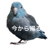 833713421