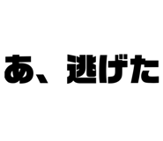 833720776