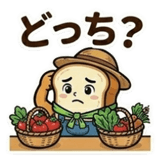 833735747