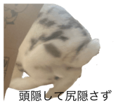 833739490