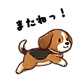 833740868