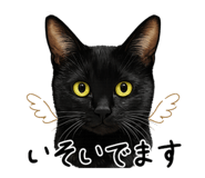 833772431