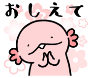 833785780