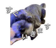 833785996