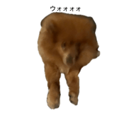 833794986