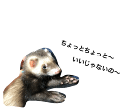 83379679