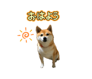 833798705